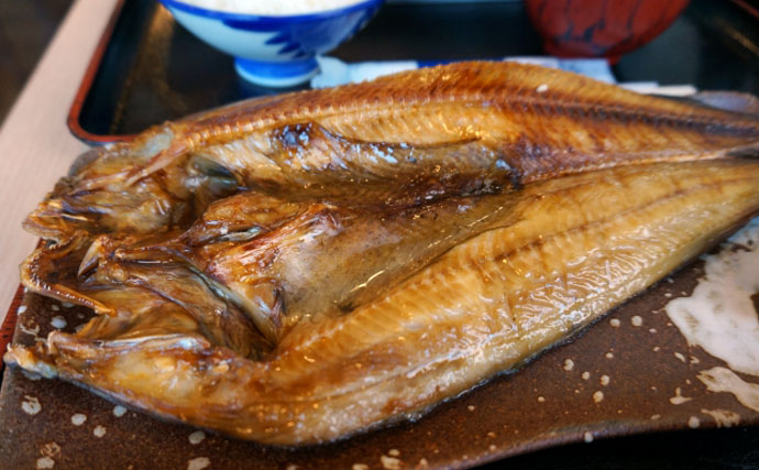 自宅の冷蔵庫で 魚の干物 を作る方法 近所の目を気にしなくてok Tsurinews