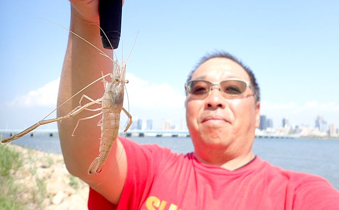 流行中の『赤虫』エサでテナガエビ釣り　大阪湾はアタリ年？！【淀川】