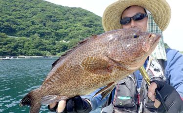 スーパーになかなか流通しない高級魚オオモンハタ（大紋羽太）を釣る方法