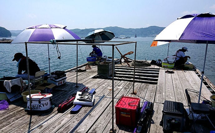 パラソル』設置のための台座3選 夏のカカリ釣りや波止で大活躍！ | TSURINEWS