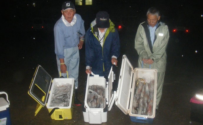 【福岡県】夜焚きイカ釣果速報　船中約700尾に1人で100尾超えも