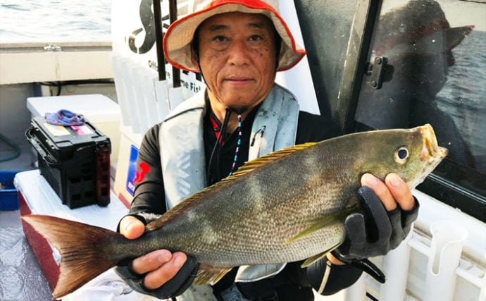 【大分県】イサキ五目船釣果速報　50cm超ジャンボイサキシーズン到来