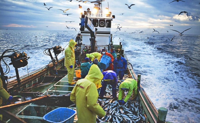 2019年サンマの漁獲量は過去最低　沿岸・遠洋・沖合漁業と今後の展望