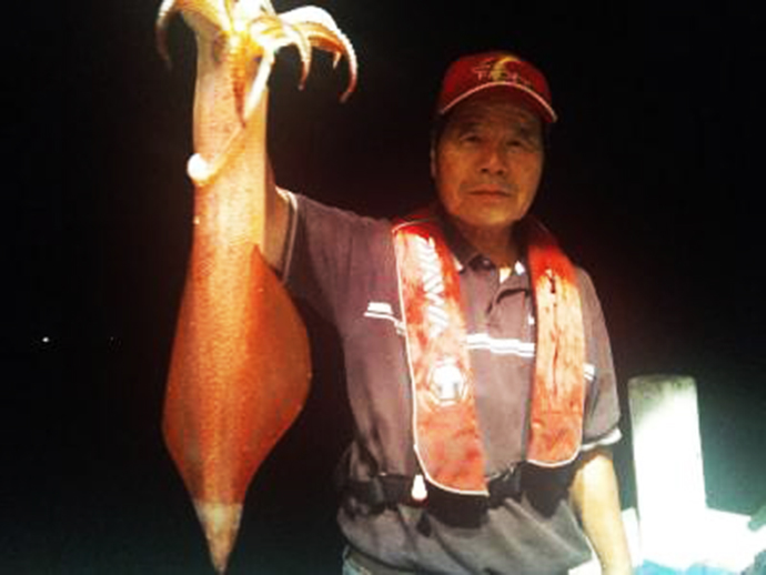 柴山沖でシロイカが平均40杯　港から20分で大漁ポイント！【兵庫】