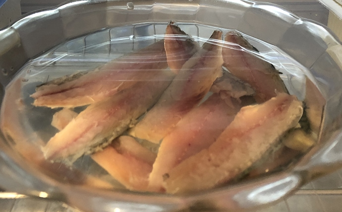 釣果レシピ：小サバのオイル煮　美味な上に大量消費＆長期保存も可能！