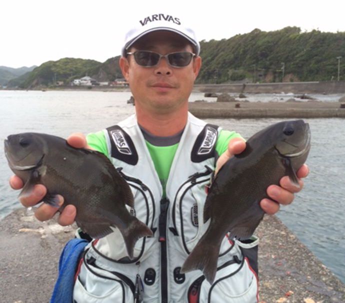 梅雨グレおすすめ釣り場：須賀漁港　手軽で魚影濃厚【和歌山県・串本】
