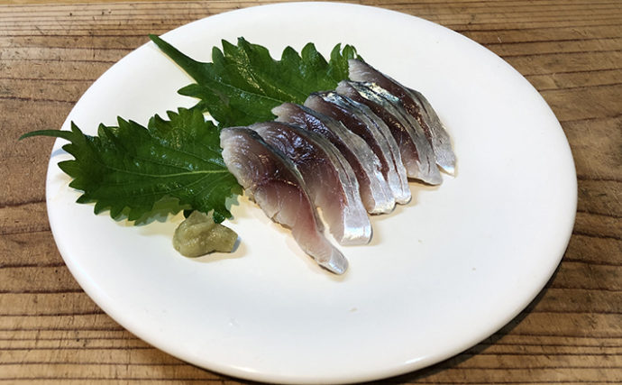 【釣果レシピ】キズシ（しめ鯖）：酢への漬け込み時間はお好みで
