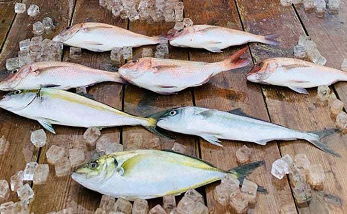 三重県 海釣り施設釣果速報 短時間の高級魚狙いが夏にオススメ Tsurinews