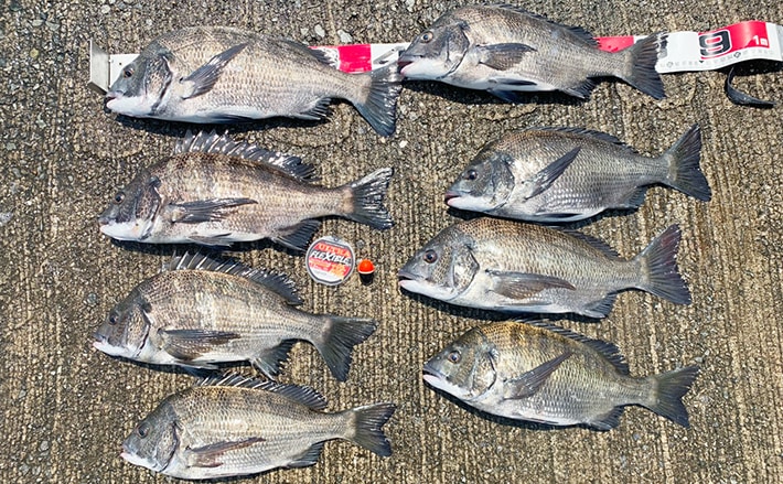 5f724167e2f9810c822c9dc3adce29