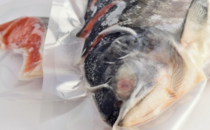 魚の『冷凍』完全ガイド　鮮度を保つ5つのコツ＆保存期間延長法