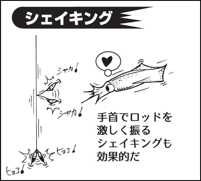 日本海マイカメタル徹底解説　4つの誘い方をマスターして釣果アップ！