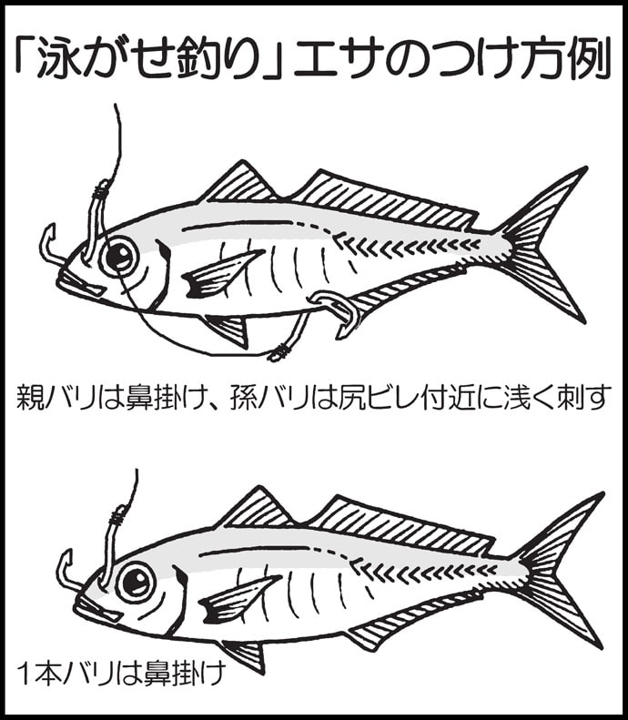【九州エリア2019】秋の大型魚狙いに最適な4つの釣り方を解説
