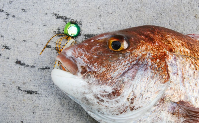 【九州エリア2019】秋の大型魚狙いに最適な4つの釣り方を解説
