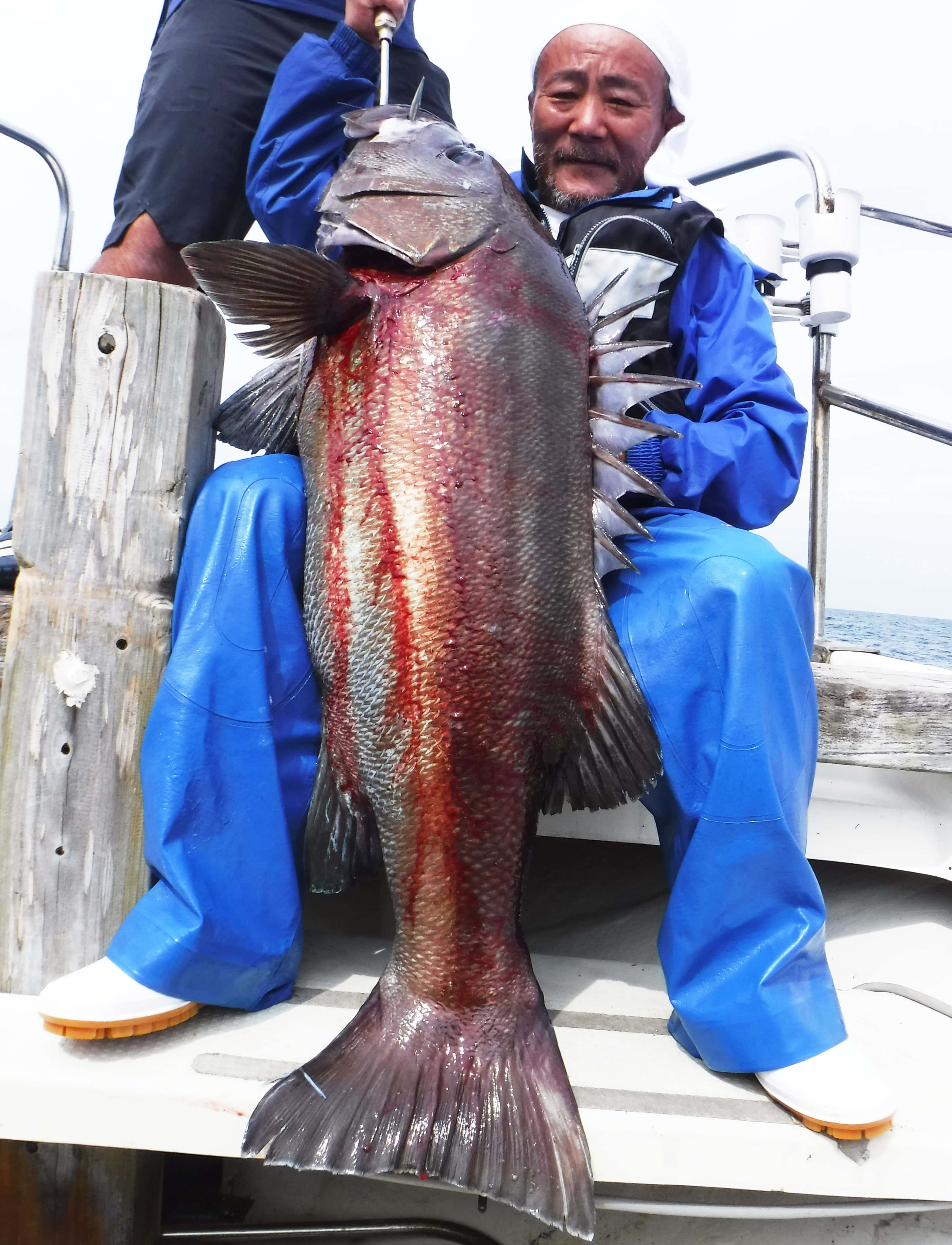 【大分県】沖釣り釣果速報　指6本級ドラゴンタチウオに25kgイシナギ