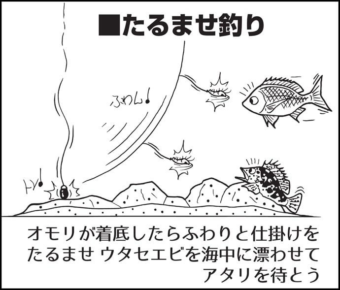 【2019秋】ウタセ五目釣り初心者入門　大物狙いシーズン到来！