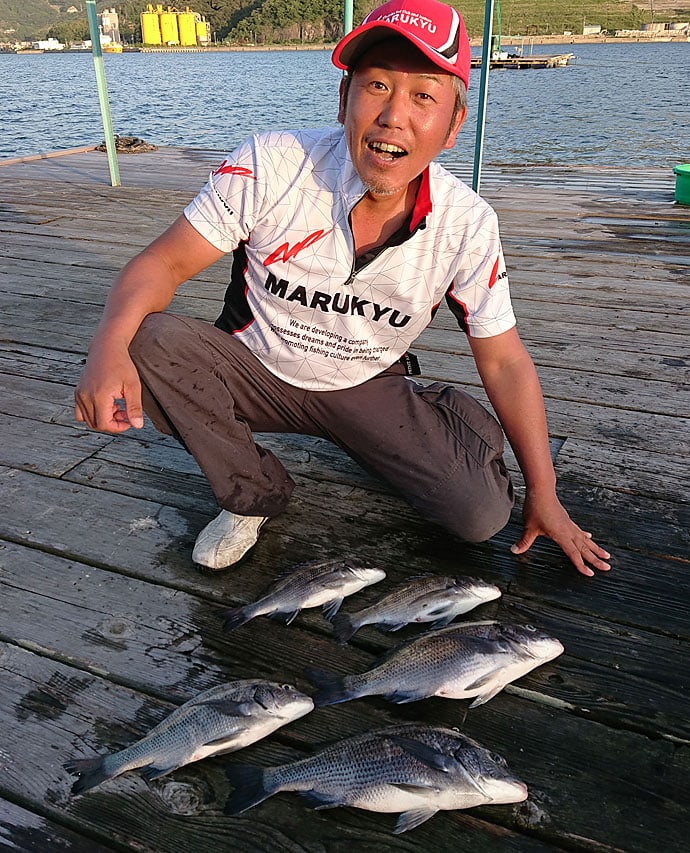 秋のチヌカカリ釣りで初心者にも良型　ダンゴ釣りで手中【和歌山県】