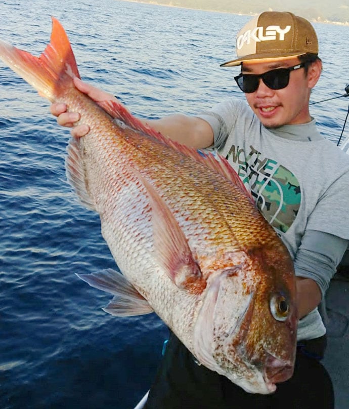 【福井県】船釣り釣果速報　ジギングで良型ヒラマサにタイラバで大ダイ