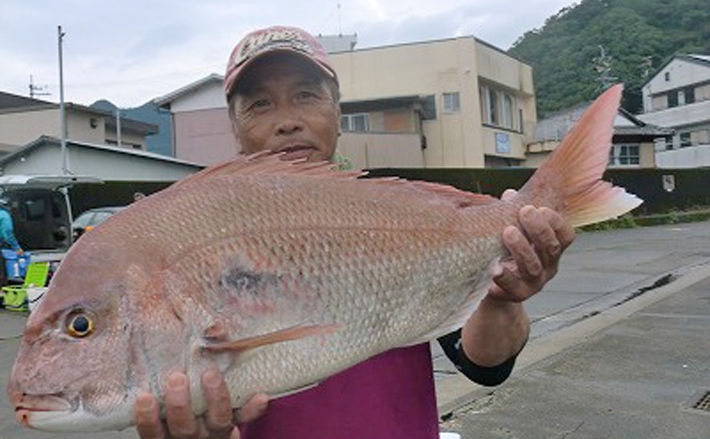 【三重県】イカダ＆カセ釣果速報　73cm大型マダイにアオリイカも好調