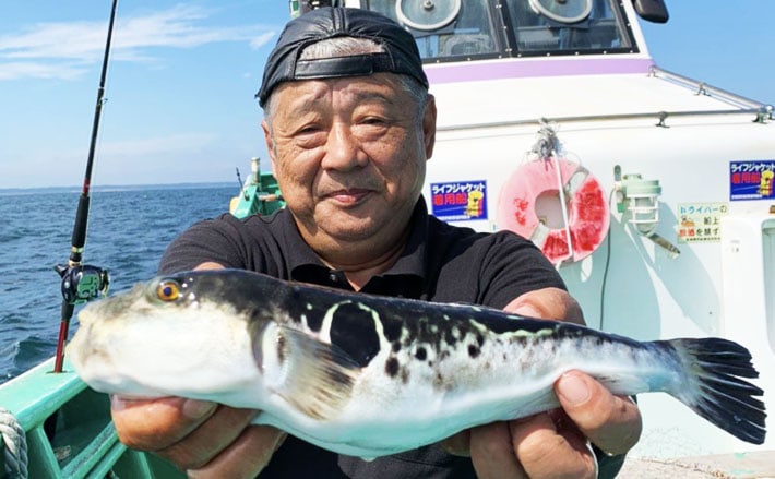 シーズン盛期のショウサイフグ釣り　カットウ仕掛けのキホン【関東】