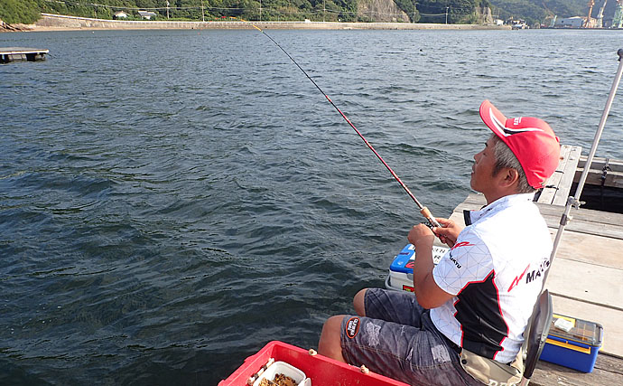 チヌカカリ釣りにマストな2大釣法『ダンゴ釣り』＆『落とし込み』解説