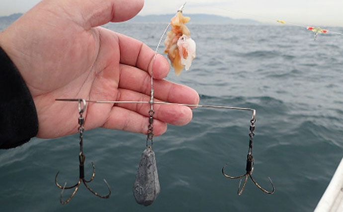 大阪湾『ディープカットウ釣り』初心者入門　良型ショウサイフグが魅力