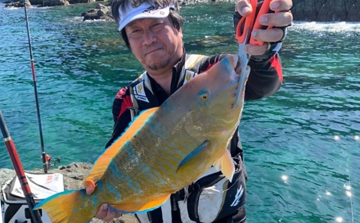 魚釣り 磯フカセ釣り大会で怪魚『ヒブダイ』をキャッチ&イート【和歌山・串本