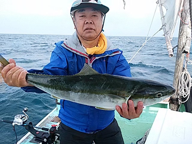 【玄界灘】落とし込み釣り最新釣果　超高級魚アラ5kgに大型青物乱舞