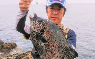 磯での石物釣りで1.5kg頭イシガキダイ2尾　赤貝エサが吉【熊本】