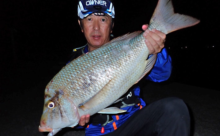 6-2 きらさ カゴ釣り一発カゴ φ42 生き餌 泳がせ鯵遠投 自作品