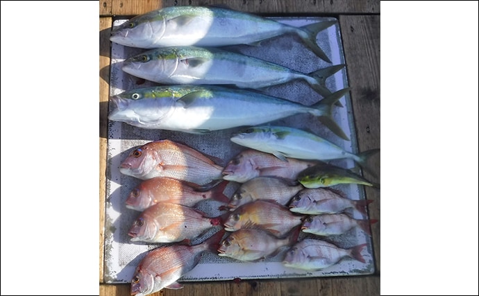 【愛知県】沖釣り最終釣果　ジギングでブリサイズ含み青物好調！