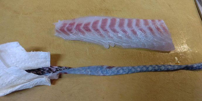 釣果レシピ クロダイのお刺身4種盛 下処理方法 目利きも解説 Tsurinews