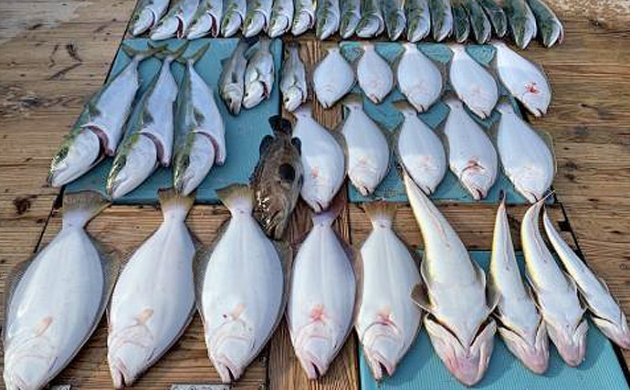 【愛知】沖釣り最新釣果　ウタセ五目が好調でイシダイやカワハギなど