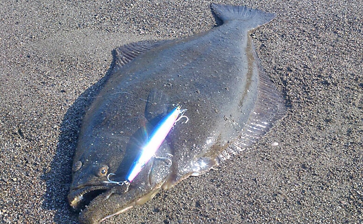 大人気 ヒラメゲーム にオススメの宮崎サーフ3選 攻略法も併せて紹介 Tsurinews