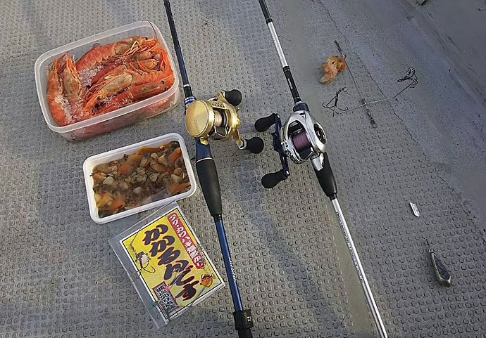 大阪湾『ディープカットウ釣り』初心者入門　良型ショウサイフグが魅力