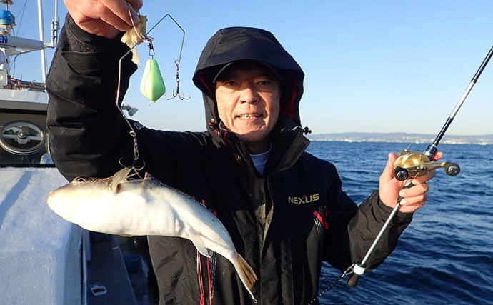 大阪湾 ディープカットウ釣り 初心者入門 良型ショウサイフグが魅力 Tsurinews
