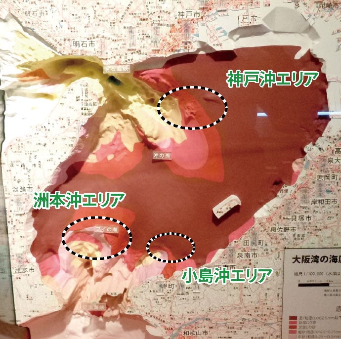 【2019冬】大阪湾テンヤタチウオの傾向と対策　連続釣行から考察