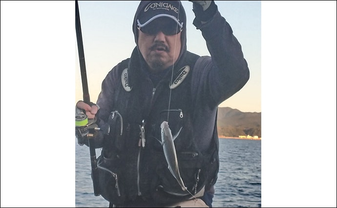 秋磯フカセ釣りで本命グレ不発も35cm頭にシマアジ15匹【和歌山】