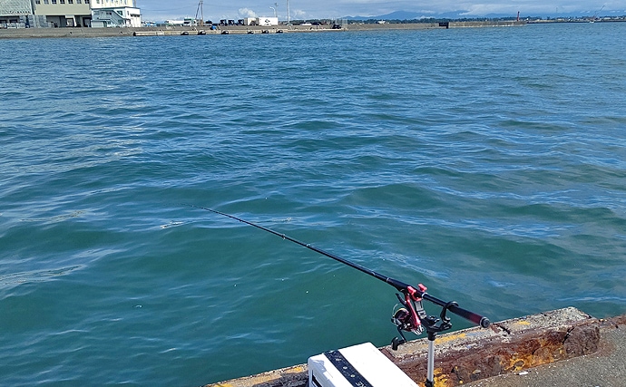波止フカセ釣りで48cmクロダイ　水潮と水温低下に苦戦【江尻埠頭】