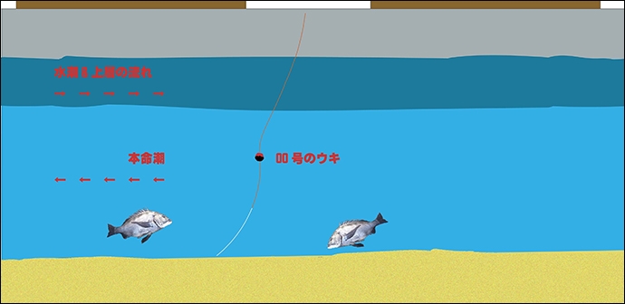 波止フカセ釣りで48cmクロダイ　水潮と水温低下に苦戦【江尻埠頭】
