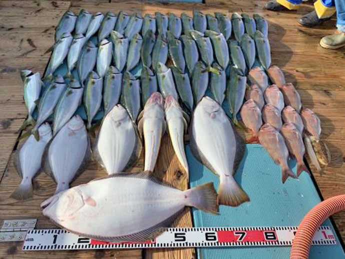 【愛知県】沖釣り最新釣果　SLJでビッグアマダイにワラサ＆ブリ回遊中