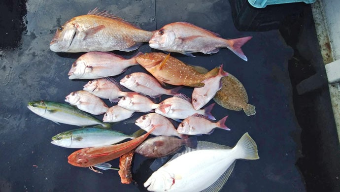 【三重】沖釣り最新釣果　超高級魚クエにアカハタ21匹など根魚好調