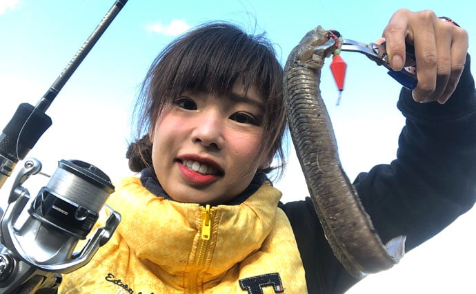 見た目は難ありでも美味な ギンポ釣り はゲーム性高し 福岡県 Tsurinews