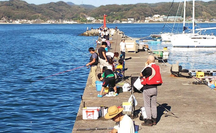 【関東】年末年始オススメ釣り場：富浦新港　クロダイとアジが狙える