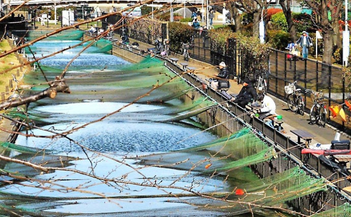 【関東】年末年始オススメ釣り場：大横川親水公園魚つり場　フナ釣り満喫