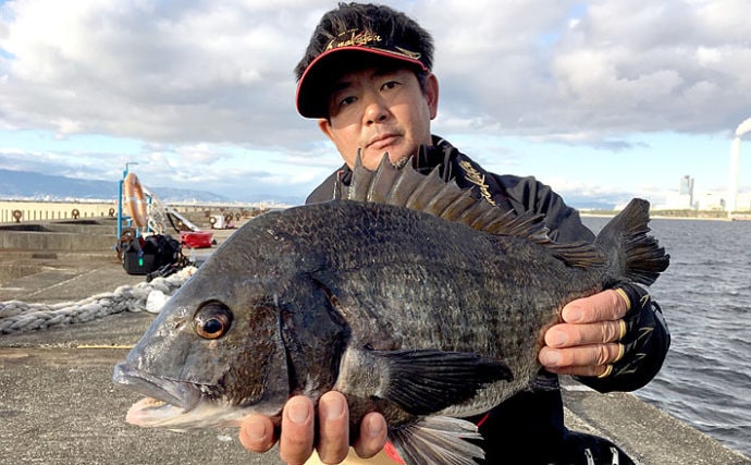 【大阪湾2019年12月】チヌ落とし込み状況　まだヘチ＆上層での釣り成立か