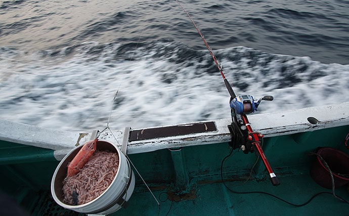 釣り物で変わる 天秤 テンビン の役割と特徴 自動的にアワセにも Tsurinews