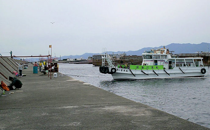 始めるなら冬がオススメ？　渡船で行く関西の沖防波堤釣りの魅力を紹介
