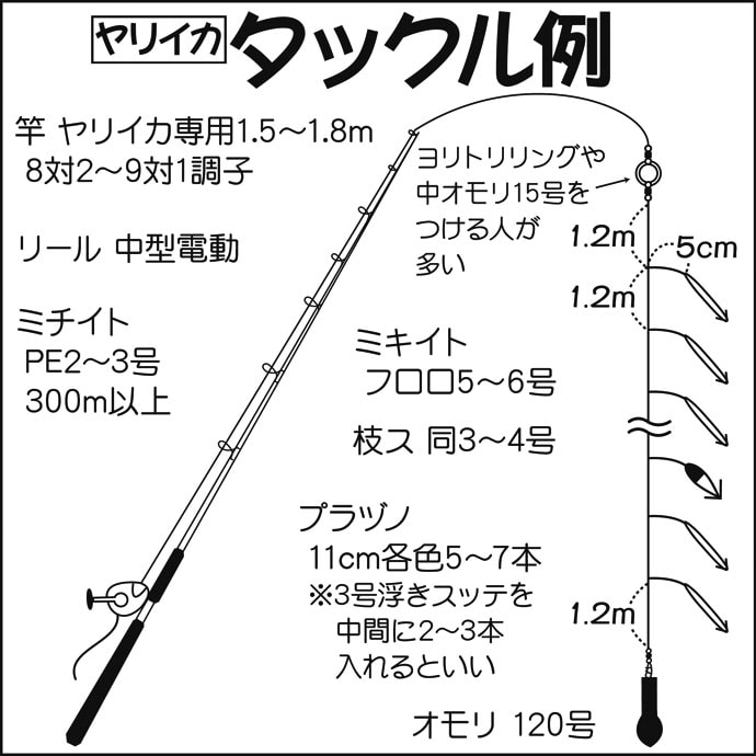 関東 初釣りオススメ釣り物 シーズン到来の船ヤリイカ Tsurinews