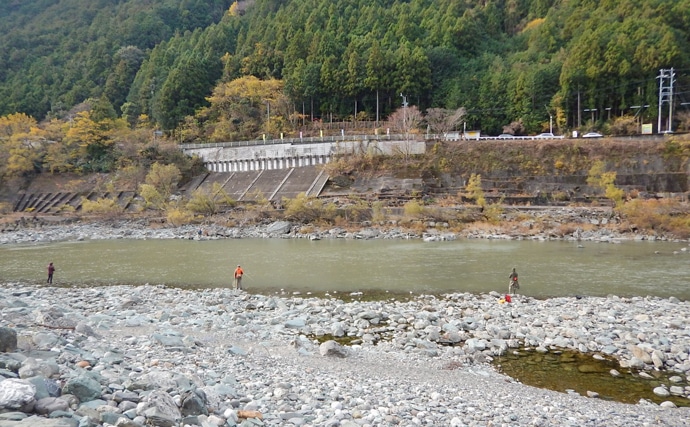 濁りがきつい天竜川で尺ニジマス 単なるルアー流下がパターン 静岡 Tsurinews