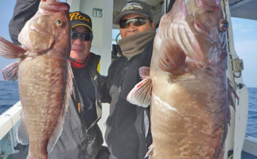 【福岡】沖ルアー釣り最新釣果　タイラバで4.5kgタカバにマダイ数釣りも